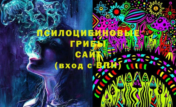 марки lsd Бородино