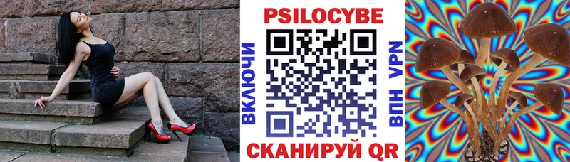 закладки  Вуктыл  Галлюциногенные грибы Cubensis 